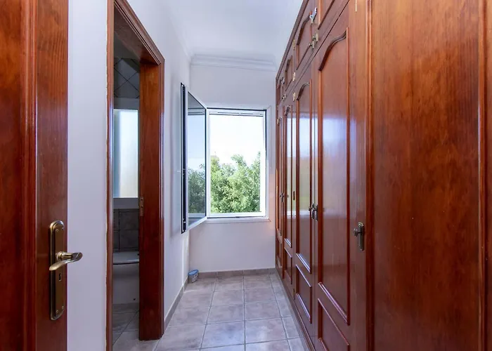 Catherine * 阿德耶